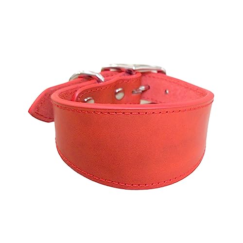 BHFYOB Collier rembourré doux en cuir pour chiens whippets salukis lévriers collier réglable pour chiens de grande race