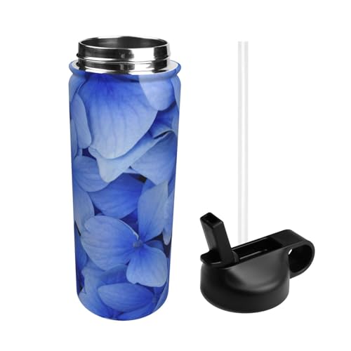  zԕ  AWTC u[ X|[c{g @r e q l  Xg[t ۉۗ  v[g Mtg