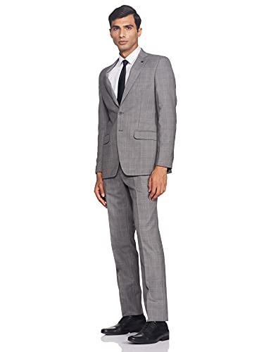 Image of Raymond Men Suit