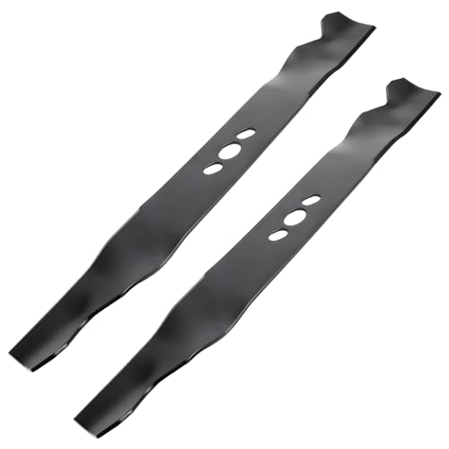 Fourtry 2105200317A 2-Pack Blade