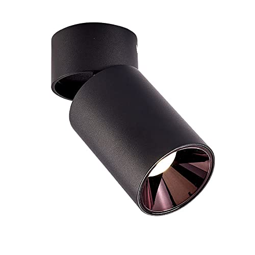 JZWCHQ Faretto LED da soffitto 10W Faretto da Superficie per Interni, Luci per Quadri e Mini faretti d'accento, Plafoniere direzionali in Alluminio Lampade da Parete girevoli