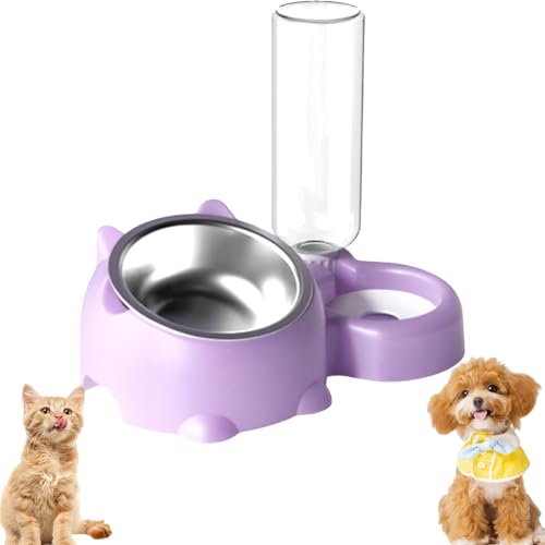 2-in-1 Cat Food and Water Bowl Set Dog Dish with Water Dispenser ...