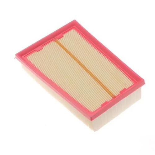 Filtre automobile pour Renault Koleos et Nissan Qashqai 2.0L