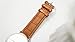 Watchband Camel by PITATA Magic - Trick