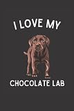 cute chocolate cake  I love My Chocolate Lab Notebook Cute Chocolate Lab Journal: Chocolate Lab Notebook