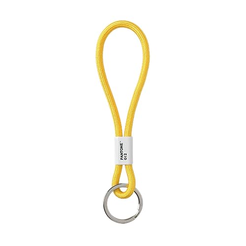 Porte-clés Pantone 18 cm Jaune Yellow 012 grand format pour sac et clés