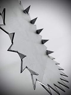 STERNSHIELD Rodent Drain Guard 4" / 110mm Full Stainless Steel & UK Manufactured