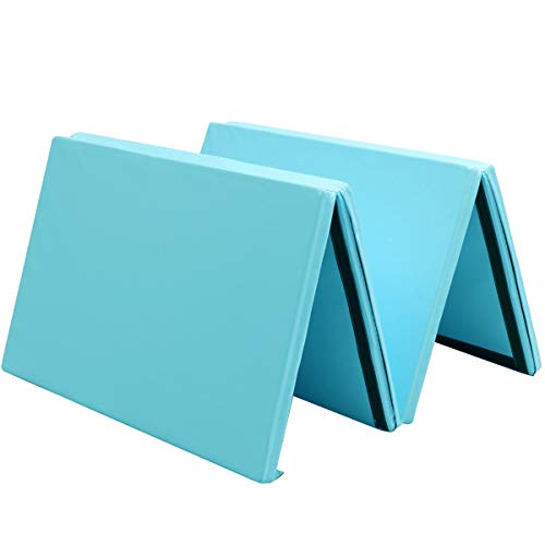 Yujiadian 8FT Gymnastics Mat, Perfect for Yoga, Crash and Pilates, Home & Gym Workouts