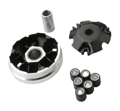 Jeu de poids à rouleaux 6,6 g pour variateur Kymco Agility 50 4T