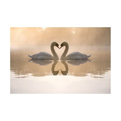 Cadeau d'images de mosaïque Diamond Painting Lac des Cygnes Idée Créative