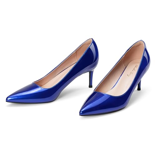 Elisabet Tang Kitten Heel Low Pumps 2.4 Inch Closed Pointed Toe Short Sexy Comfort Women Dressy Shoe at Work Office Date Prom Party Wedding Church4