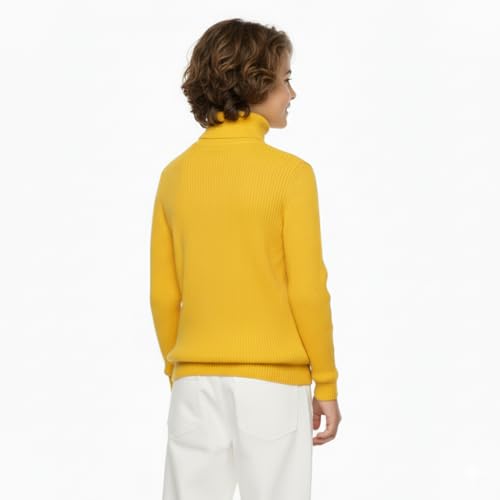 Image of high Neck Sweater for Boys