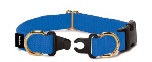 PetSafe KeepSafe Break-Away Collar, Prevent Collar Accidents for your Dog or Puppy, Improve Safety, Compatible with Lead Use, Adjustable Sizes PetSafe KeepSafe Break-Away Collar, Prevent Collar Accidents for your Dog or Puppy, Improve Safety, Compatible with Lead Use, Adjustable Sizes