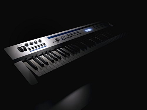 Casio – PRIVIA PX-5S Piano numérique 88 touches px5s - Les Beatles, Paul McCartney, John Lennon, RIngo Starr, George Harrison Casio – PRIVIA PX-5S Piano numérique 88 touches px5s – Image 5