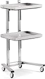 Carrito rodante de acero inoxidable de 2 niveles con ruedas de bloqueo, carrito utilitario móvil para cocina, baño, dormitorio, oficina, tienda de tatuajes