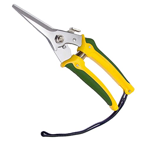 WHZSH Specialisten Resistant Foot Rot Shears Schapen Paard Bloemist Tuin Scherpe Schaar Kaken Hoof Shears Trimmen Prun… - Image 3