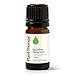 Plant Therapy Geranium Egyptian Essential Oil 100% Pure, Undiluted, Natural Aromatherapy, Therapeutic Grade 5 mL (1/6 oz)