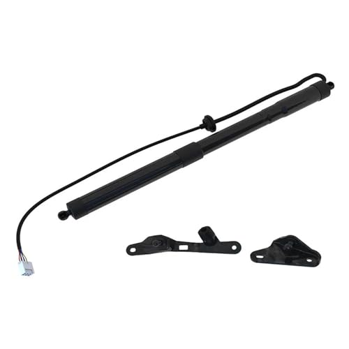 Verin a gaz pour coffre lourd de Toyota RAV4 : reparer la jambe de force hydraulique droite