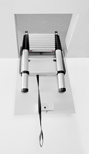 Telesteps 60324101 Telescopic Mini Loft Ladder