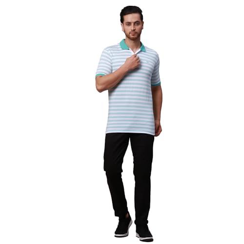 Image of Park Avenue Men's Cotton Polyester Blend Stripe Pattern Slim Fit Rib Collar Polo Neck Half Sleeve Casual T-Shirt