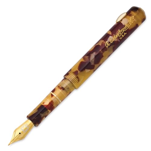 Stylo plume compact Esterbrook Niblet Tortoise pour écrire sans fatigue avec sa plume M dorée