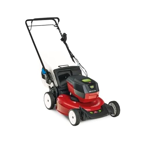 Toro Recycler 21 in. Steel Deck Push Mower