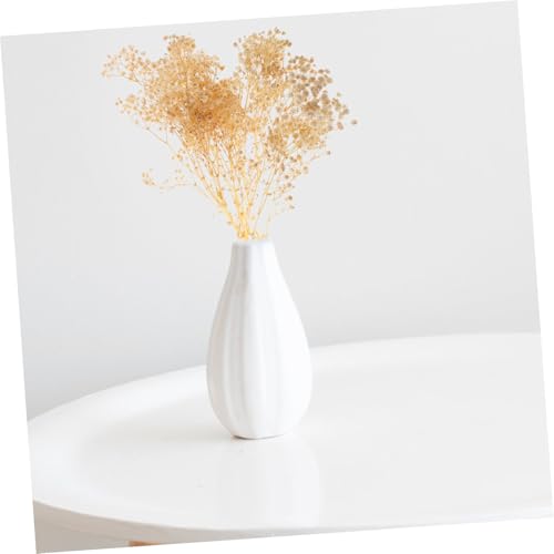 Ramo de Flores Secas Decorativas Gypsophila Blanco miniatura 6