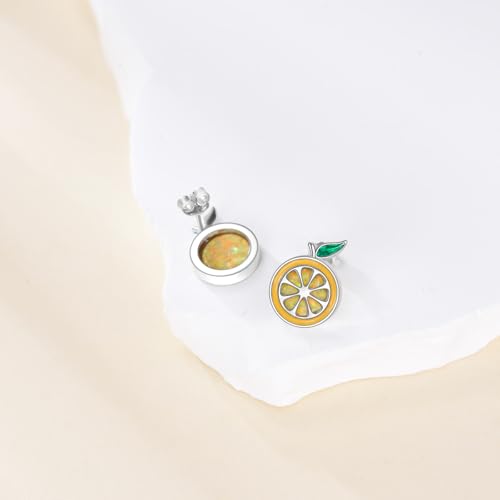 Orange Earrings 925 Sterling Sliver Fruit Stud Earring Orange Jewelry Gifts for Women2