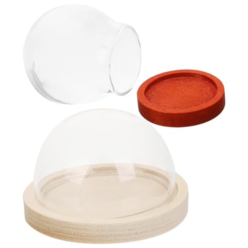 JHKNNK Vitrina de Cristal Pequeña Base de Madera Separable, Juego de 2 Cúpulas para Exposición de Plantas y Manualidades Creativas en Casa
