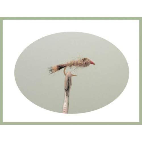 Weighted Hares Ear Nymph Trout Fly, 6 Pack weighted Body, Choice of sizes, Fly Fishing (Mixed)