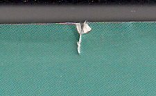 Opening the Dragon Gate: The Making of a Modern Taoist Wizard