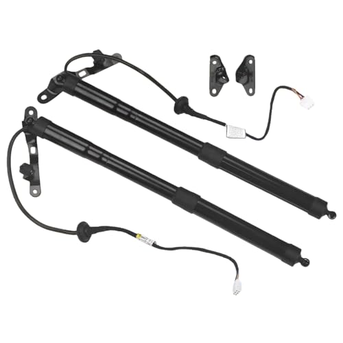 Vérins à gaz pour hayon électrique de RAV4 2012-2019 coffre arrière 68910-09010 paire