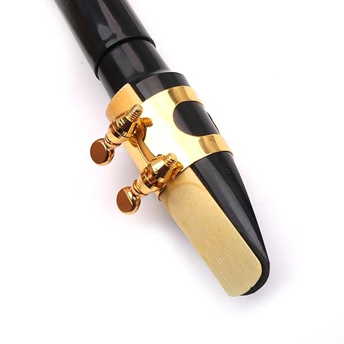 Wmqbjta Saxophone de Poche, Mini Saxophone Léger, Instrument à Vent En Bois pour Enfants Débutants – vue 2