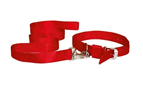 PSK PET MART Nylon Collar and Leash Set for Medium Dogs- Golden Retriever etc (Color - RED) 1 inch (B08K7H2JXF) Amazon Price History, Amazon Price Tracker