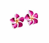 Fabulous Funky Jewelry