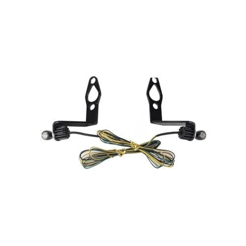 Feu de freinage LED et clignotant arrière pour Sportster S RH1250S moto custom