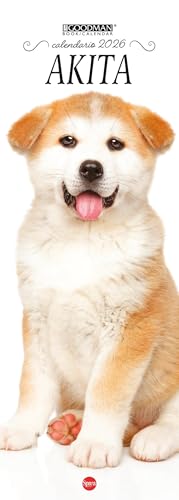 Akita Inu. Calendario 2026. Long (Lisa Goodman Long)