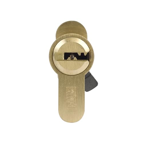 IFAM Cylinder Start STRP3030L 30 x 30 mm Brass Faced Cylindrical Security Lock with 5 Nickel Plated Steel Security Keys - Image 2