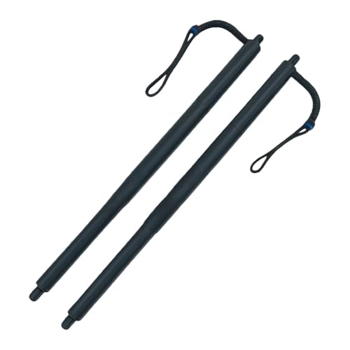 Support hayon électrique bloqué ? Réparer le coffre de votre X3 F25 2011-2014