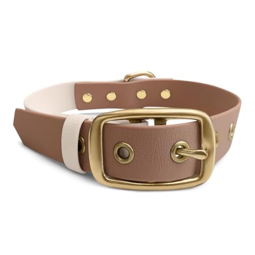 Collier chien entraînement imperméable Mousse taille S ajustable