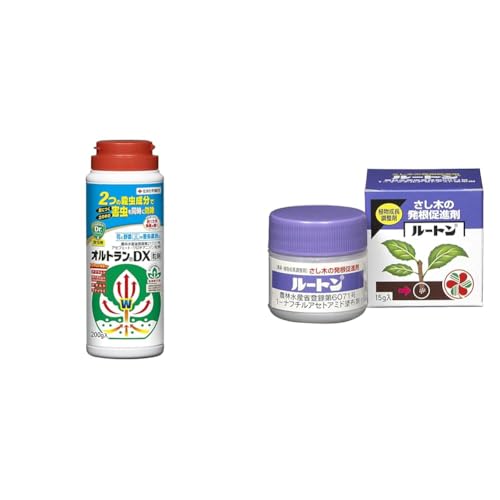 yZbgzZFw| E IgDX 200g Zڍs AuV RKlVc + A [g 15g  c i i