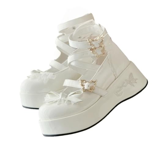[TTYAO REII]  pvX C [^C [t@[ V[Y 傫TCY Xgbv  Ch   RXv nn SX fB[X ₷ jp 5cm (zCg, l, 23.5 cm, l,