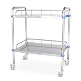 ZZRS Labor-Rollwägen 2-Shelf Zweckwagen Medical Trolley Edelstahl Behandlungswagen Medical Laboratory Equipment Service Carts Beauty-Salon-Werkzeug-Auto (Size : L (80 × 48 × 86 cm))