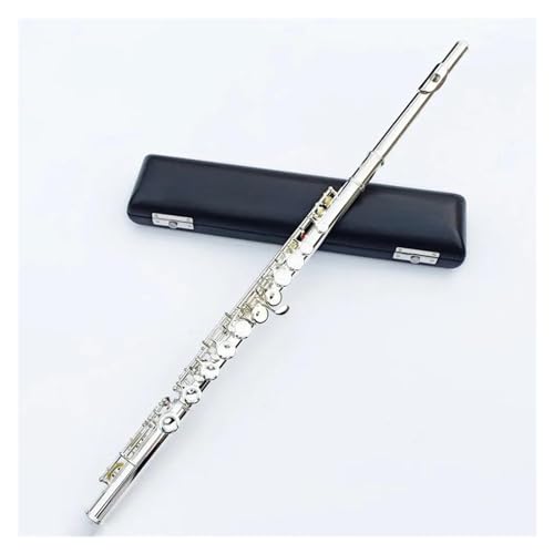 16 L[N[Yhz[ C g[t[g⃁bLgXo[Tt[g[P[Xt t[gLbg