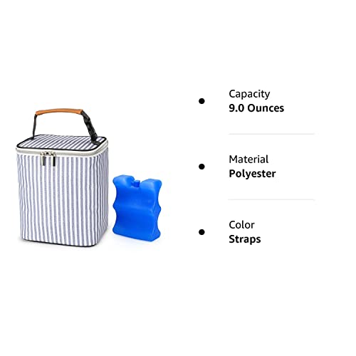 Babeyer Breast Milk Cooler Bag With Ice Pack Fits 4 Baby Bottles Up To 9 Ounce, Baby Bottle Tote Bag Great For Nursing Mom Daycare #TOP7