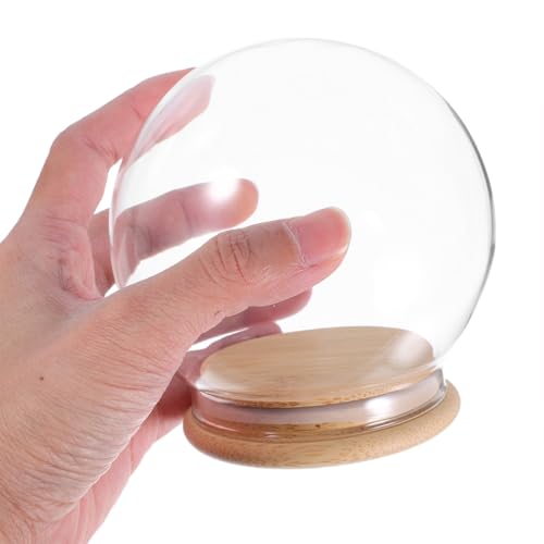 Cúpula de cristal con base de bambú OSALADI para flores preservadas 5