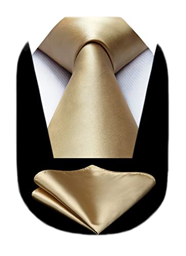 HISDERN Mens Ties Champagne Tie and Pocket Square Set Classic Formal Solid Necktie & Handkerchief for Wedding Business with Gift Box