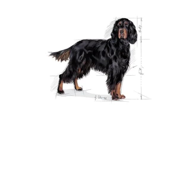 Royal Canin Hundefutter Maxi Sterilised,12 kg, 1er Pack (1 x 12 kg)