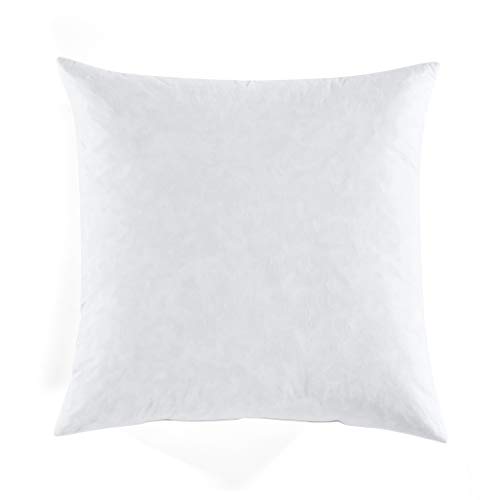 Lush Decor Feather Down in Cotton Cover Decor Pillow Insert,
