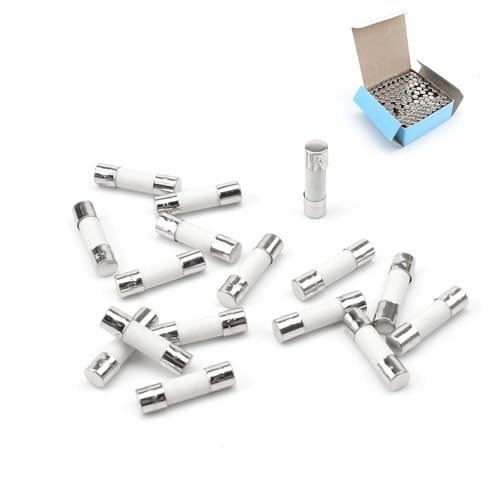 100 Piezas Fusibles, AMONENZ Fusible Microondas, 5 x 20 mm Fusibles Cerámicos, Acción Rápida, para Protección Seguridad Circuitos y Equipos Eléctricos